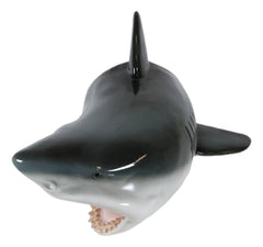 Beware of Great White Shark Jaws Mako Predator Wall Mount Plaque Figurine Decor-8