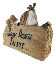 Helix Shell Snail By Mushrooms On Trunk Log With Slow Down Enjoy Sign-5