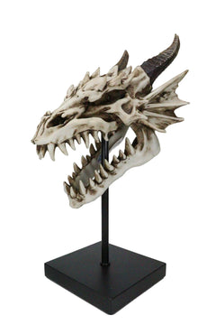 Figura de exhibición de cráneo de dragón de hueso de Terra feroz en soporte de museo, 30 cm-8