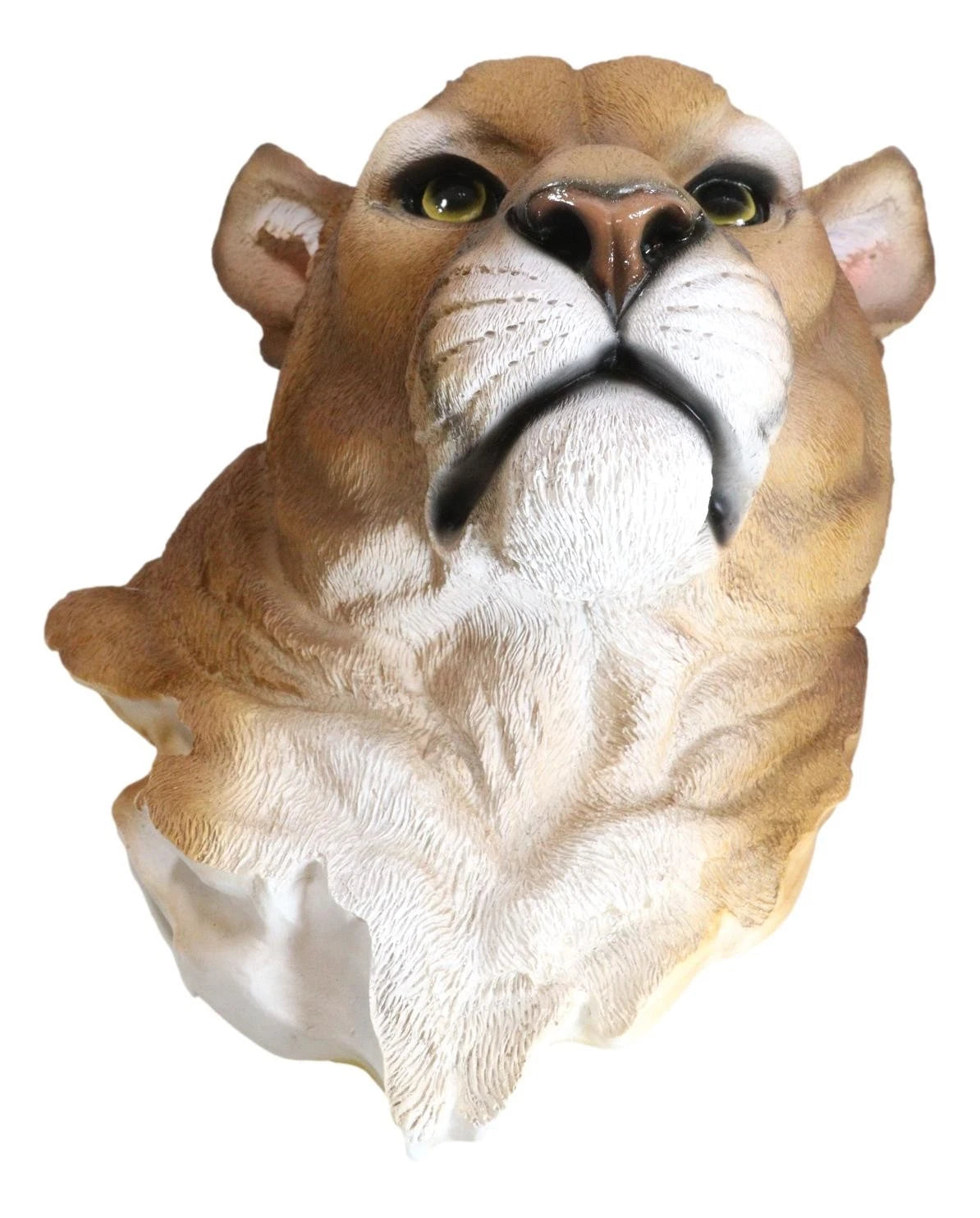 Sarabi Large Lioness Head Wall Decor Plaque 16"Tall Taxidermy Art Decor Figurine-9