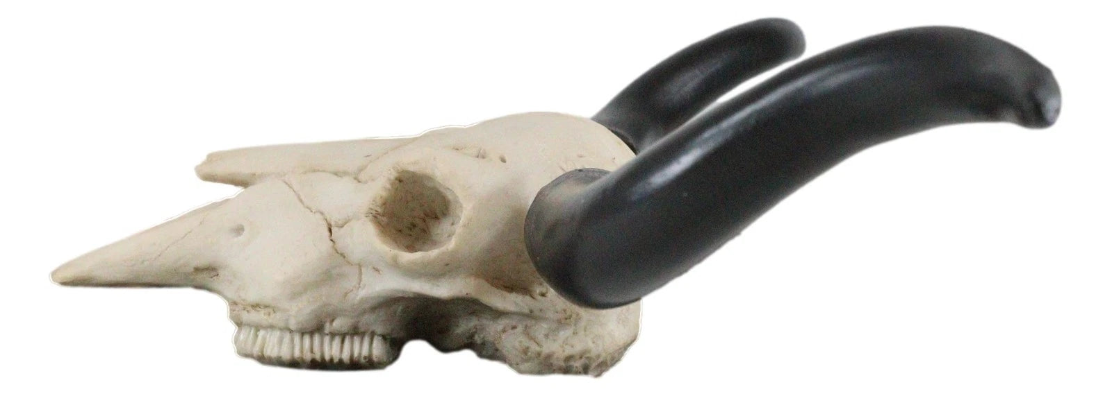 Texas Longhorn Steer Cattle Cow Skull Wall Hanging Plaque Figurine 21"L-8