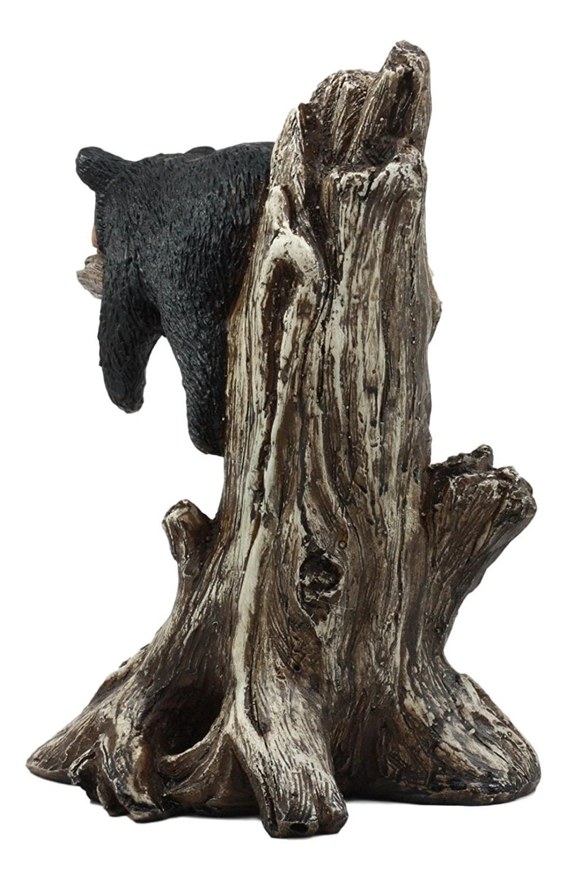 Lazy Days Of Summer Black Bear Sleeping On Tree Branch Statue-10