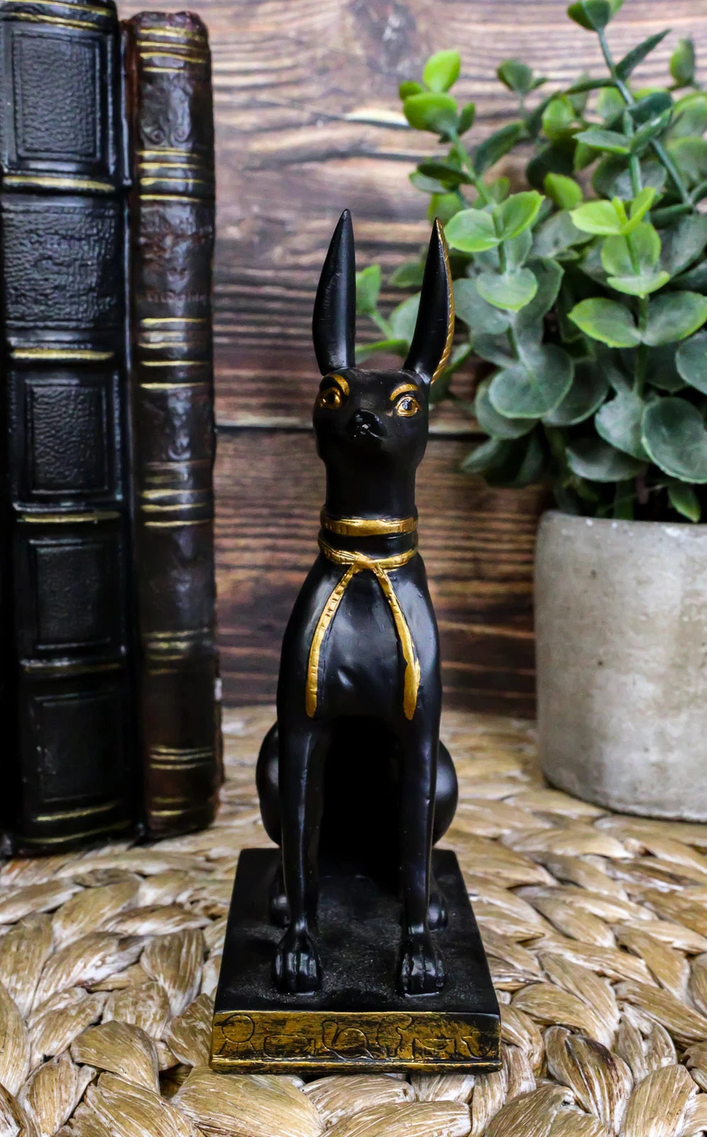 Sitting Ancient Egyptian God Anubis Jackal Dog Figurine 5"H God of The Afterlife-7