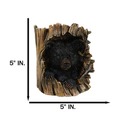 Figura decorativa de oso negro del bosque rústico del oeste escondido en el tronco de un árbol-4