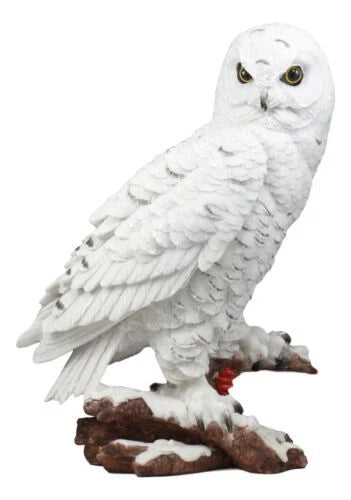 Estatua de búho blanco místico de 31 cm de alto, decoración nocturna con búhos.-5