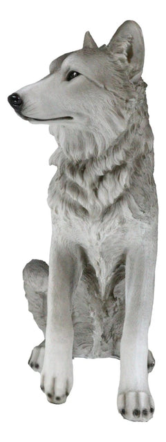 Estatua grande de lobo gris alfa sentado de Dakota Wildlife, 20,5" de alto-9
