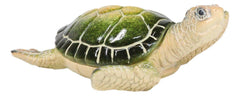Ocean Marine Green Sea Turtle Decorative Key Stash Decorative Trinket Box-9