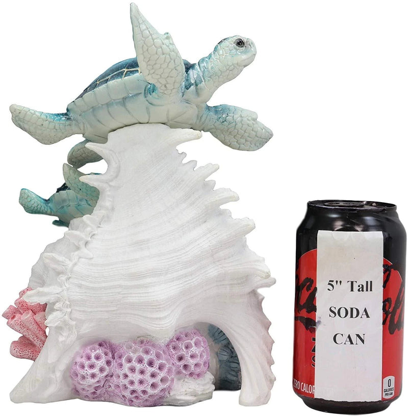 Colorful Nautical Sea Turtle Family Swimming By Big Conch With LED Light Statue-9