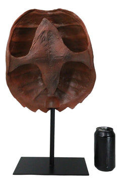 Nautical Marine Faux Alligator Snapping Turtle Shell Sculpture With Pole Stand-7