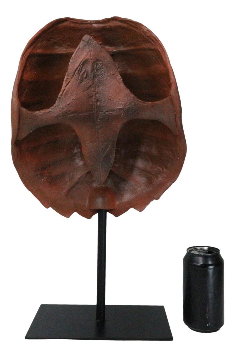 Nautical Marine Faux Alligator Snapping Turtle Shell Sculpture With Pole Stand-7