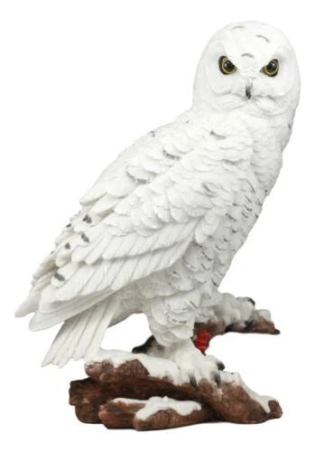 Estatua de búho blanco místico de 31 cm de alto, decoración nocturna con búhos.-8