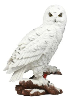 Estatua de búho blanco místico de 31 cm de alto, decoración nocturna con búhos.-8