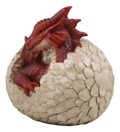 Large Smaug Red Baby Dragon Hatchling in Egg Statue 9.5" Long Dungeons Dragons-7