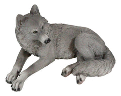 Figura decorativa de lobo solitario gris sabio descansando, paquete de Timberwolves-8