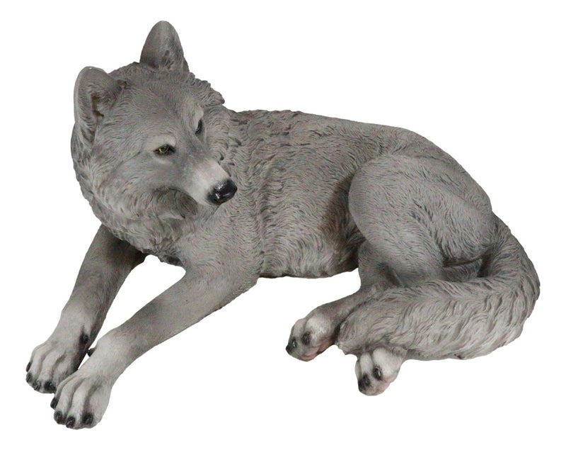 Figura decorativa de lobo solitario gris sabio descansando, paquete de Timberwolves-8