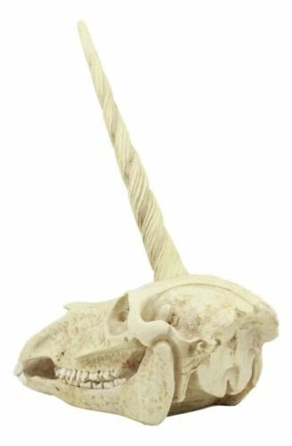 Fossil Unicorn Skull Rare Mythical Phantom Creature Skeleton Figurine-9