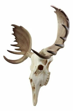 Czar North American Bull Moose Skull Wall Decor 22"Wide Wall Mount Plaque Art-9
