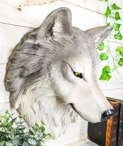 Large Fenrir Alpha Gray Wolf Head Wall Decor Plaque 14"Tall Art Decor-7