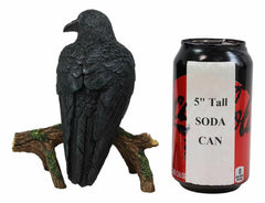Gothic Raven Crow Perching On Tree Branch Scavenger Bird Figurine 5.75" High-6