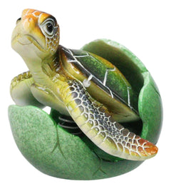 Green Nautical Marine Sea Turtle Hatchling Emerging Out of Egg Mini Figurine-7