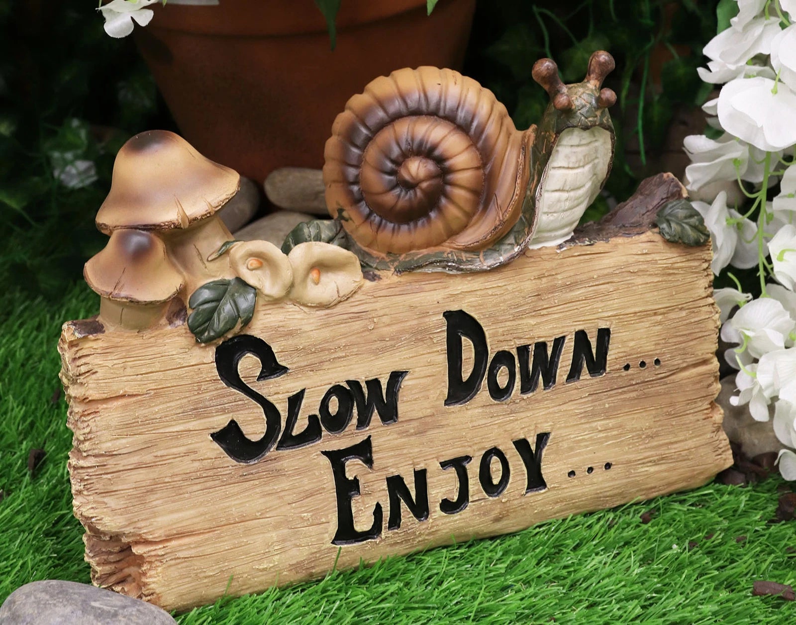 Helix Shell Snail By Mushrooms On Trunk Log With Slow Down Enjoy Sign