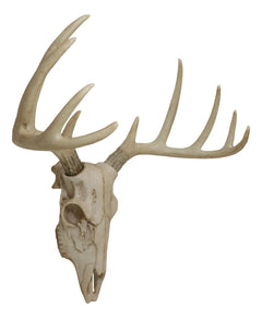 Rustic Hunter Rack Deer Skull Antler Wall Plaque Decor 10 Point Buck Figurine-7