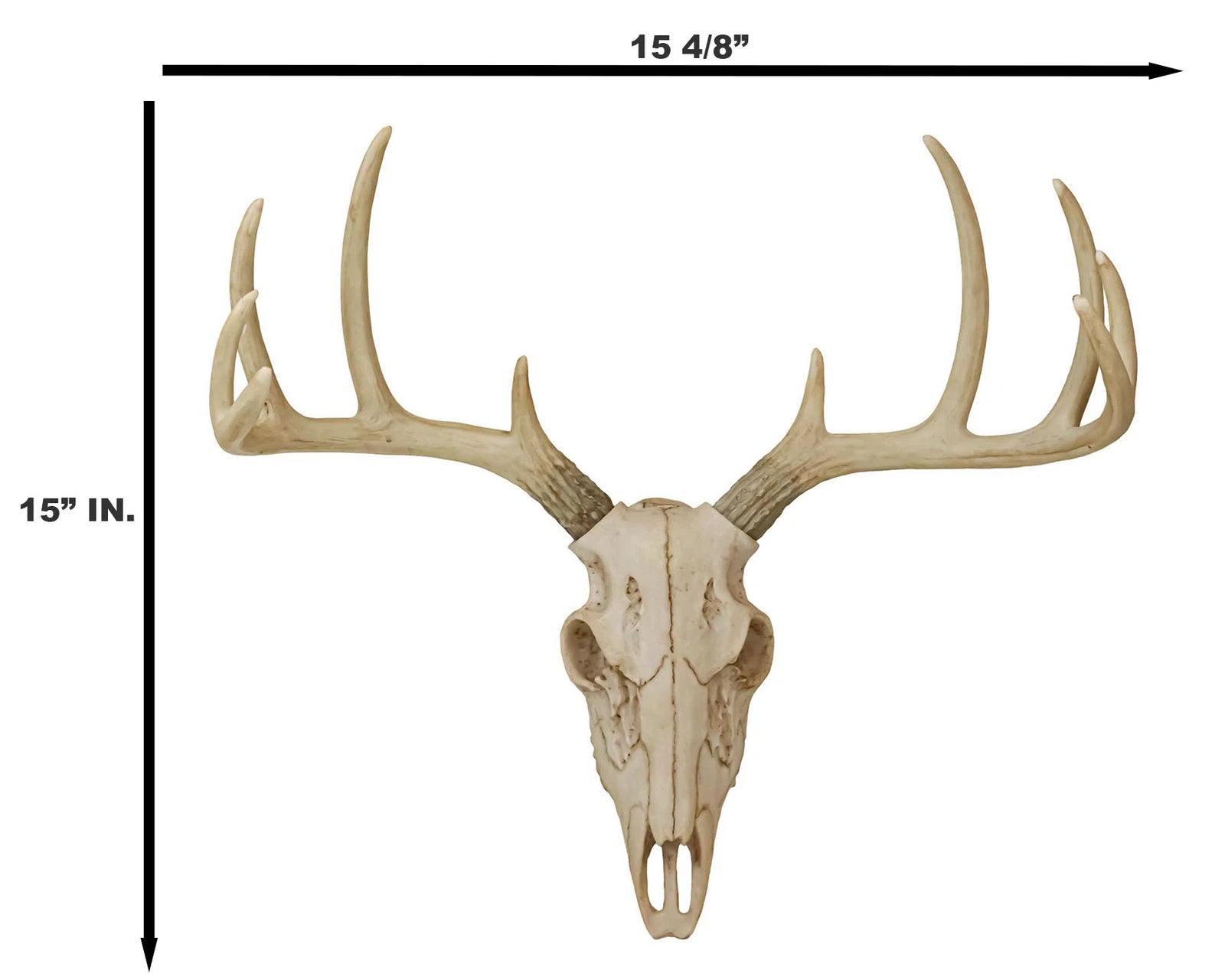 Rustic Hunter Rack Deer Skull Antler Wall Plaque Decor 10 Point Buck Figurine-8