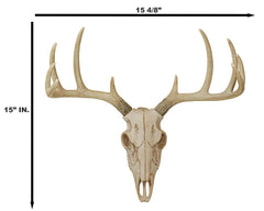 Rustic Hunter Rack Deer Skull Antler Wall Plaque Decor 10 Point Buck Figurine-8