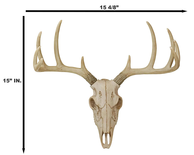 Rustic Hunter Rack Deer Skull Antler Wall Plaque Decor 10 Point Buck Figurine-8