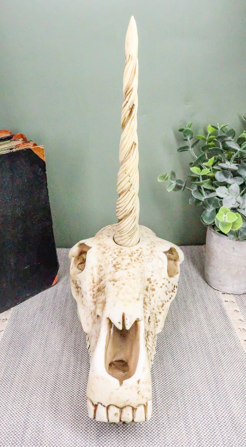 Fossil Unicorn Skull Rare Mythical Phantom Creature Skeleton Figurine-10