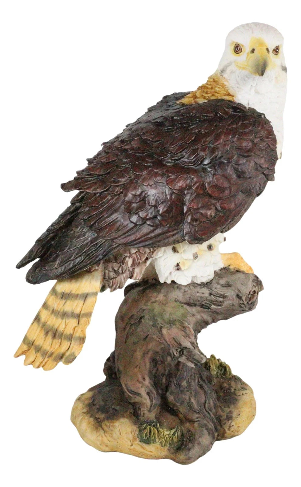 Wildlife Bald Eagle On Tree Stump Statue Birds Of Prey Figurine 10"H-7