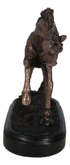 Rustic Western Country Stallion Horse Textured Bronze Resin Figurine With Base-6