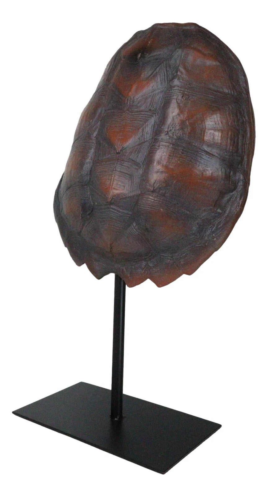 Nautical Marine Faux Alligator Snapping Turtle Shell Sculpture With Pole Stand-8