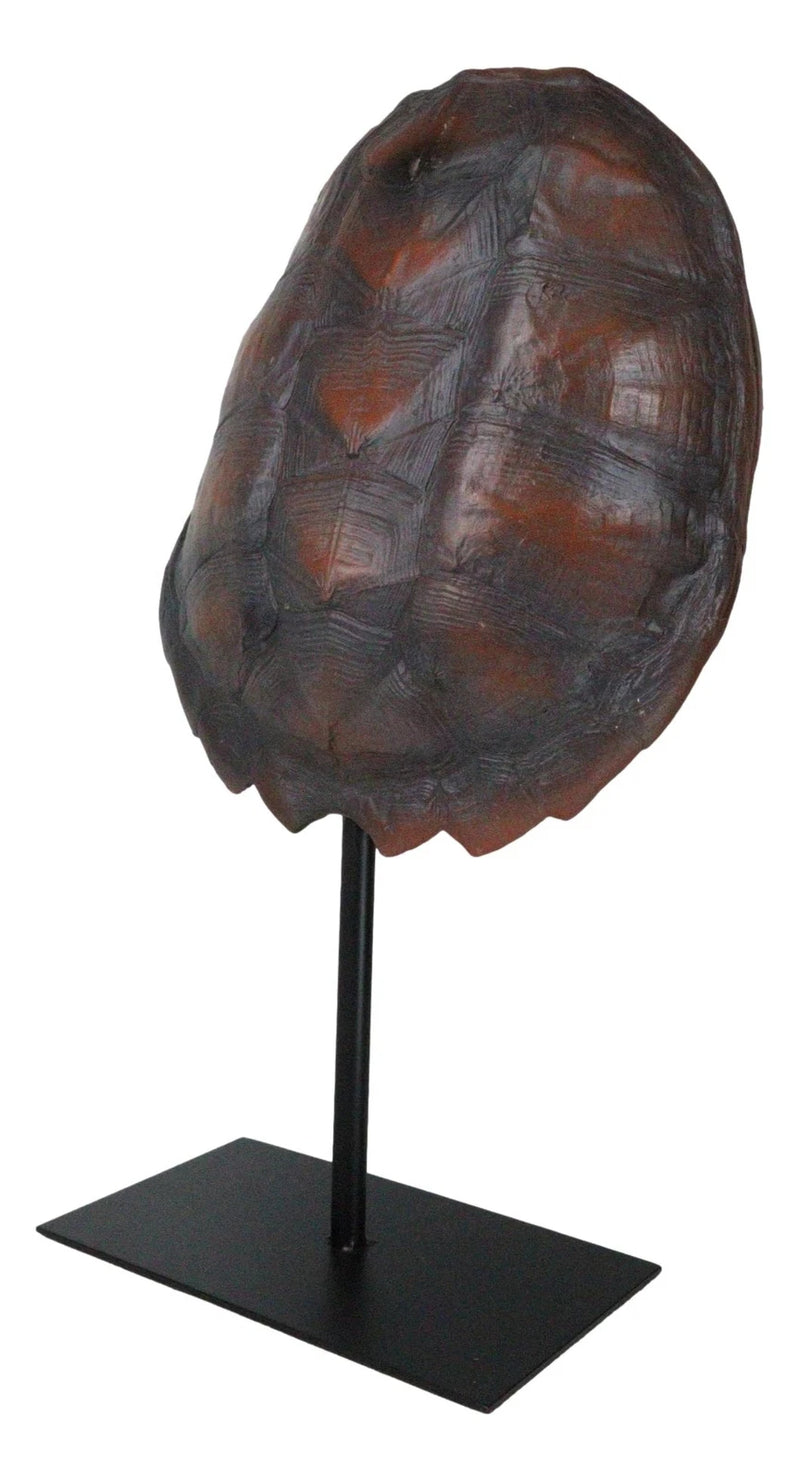Nautical Marine Faux Alligator Snapping Turtle Shell Sculpture With Pole Stand-8