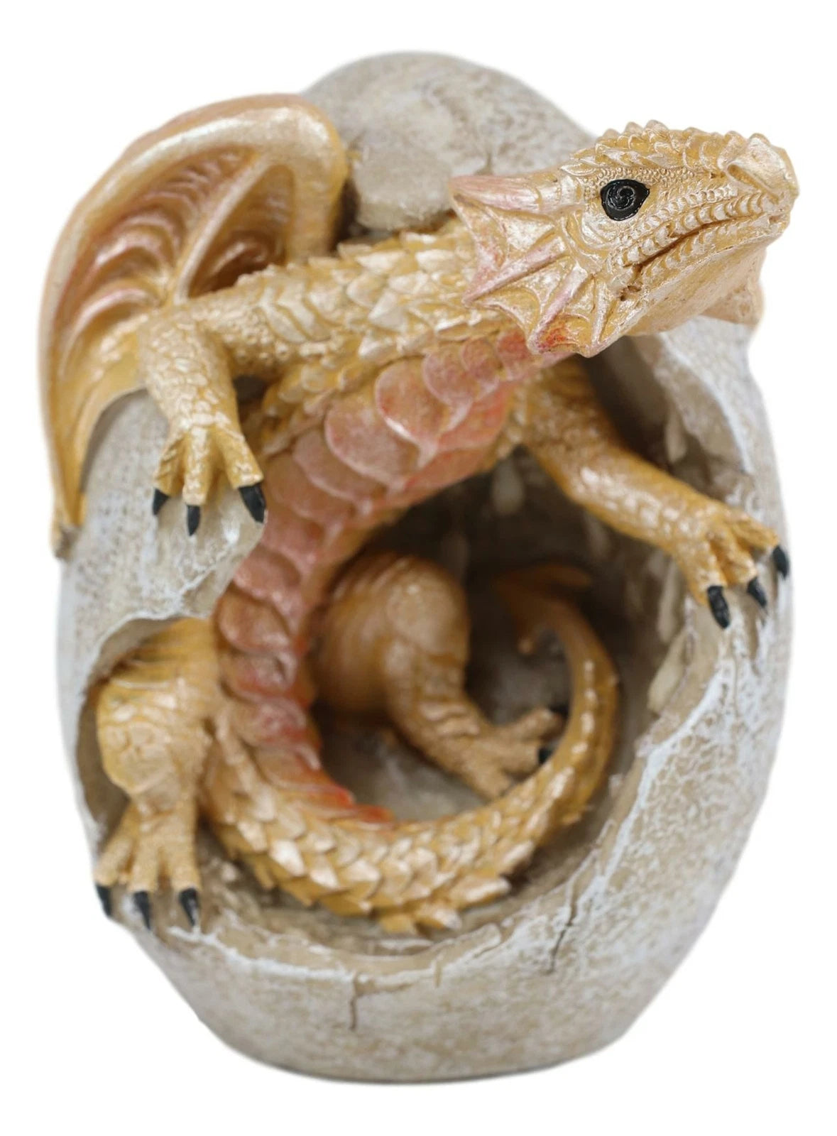 Figura de cría de dragón Raeon Sunlight saliendo de la cáscara del huevo, 12,7 cm de alto-7