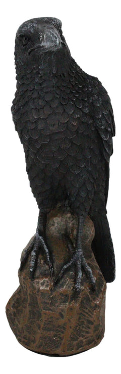 Estatua gótica de cuervo, ave carroñera posada sobre una roca, figurita de 15 cm de alto-10
