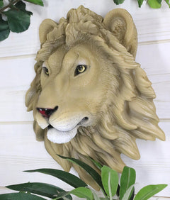 Safari King Of The Jungle Lion Head Wall Plaque 9.25"Tall Taxidermy-9
