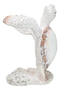Nautical Marine Distressed Antique White Sea Turtle Wine Bottle Holder Figurine-10