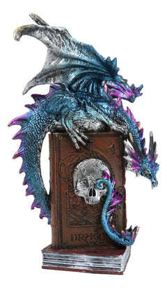 Spell Caster Metallic Ocean Dragon Perching On Necromancy Skull Books Figurine-8