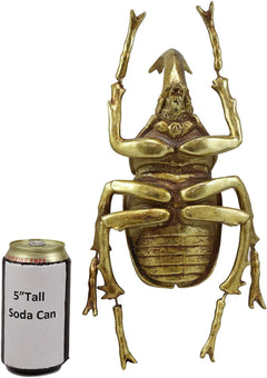 Large Gold Resin Rhinoceros Beetle Wall Sculpture Or Table Decor Figurine-10