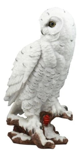 Estatua de búho blanco místico de 31 cm de alto, decoración nocturna con búhos.-9