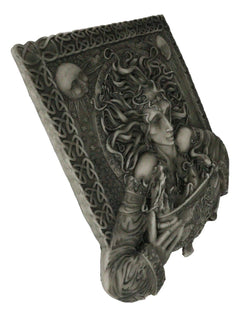 Celtic Goddess of Rebirth Cerridwen With Magical Potions Cauldron Wall Decor-10