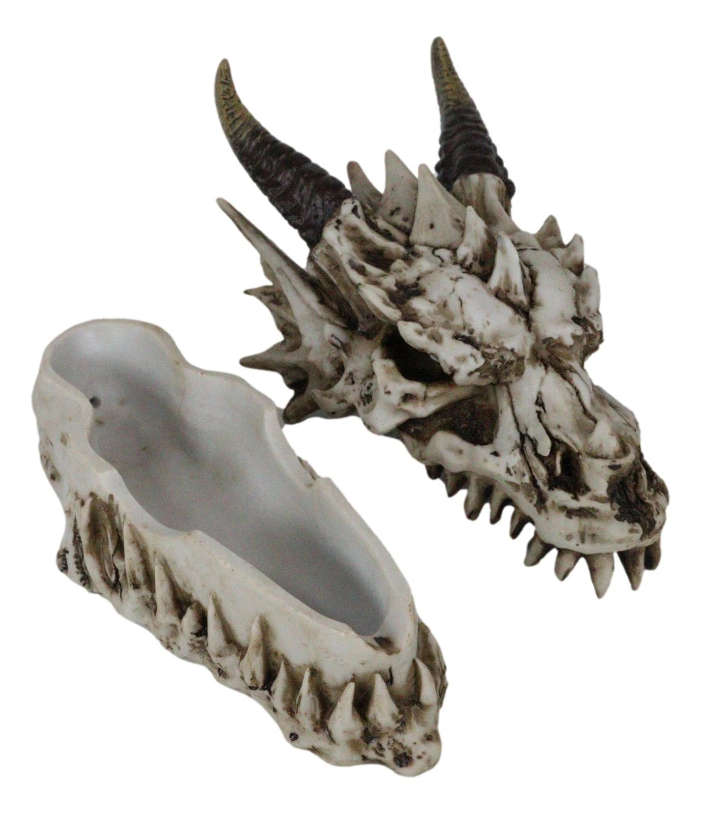 9"L Smoking Bone Skeleton Fossil Dragon Head Skull Incense Burner Box Statue-8