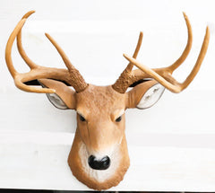 8 Point Buck Deer Bust Champion Wall Mount Sculpture Plaque Figurine 21"H-9