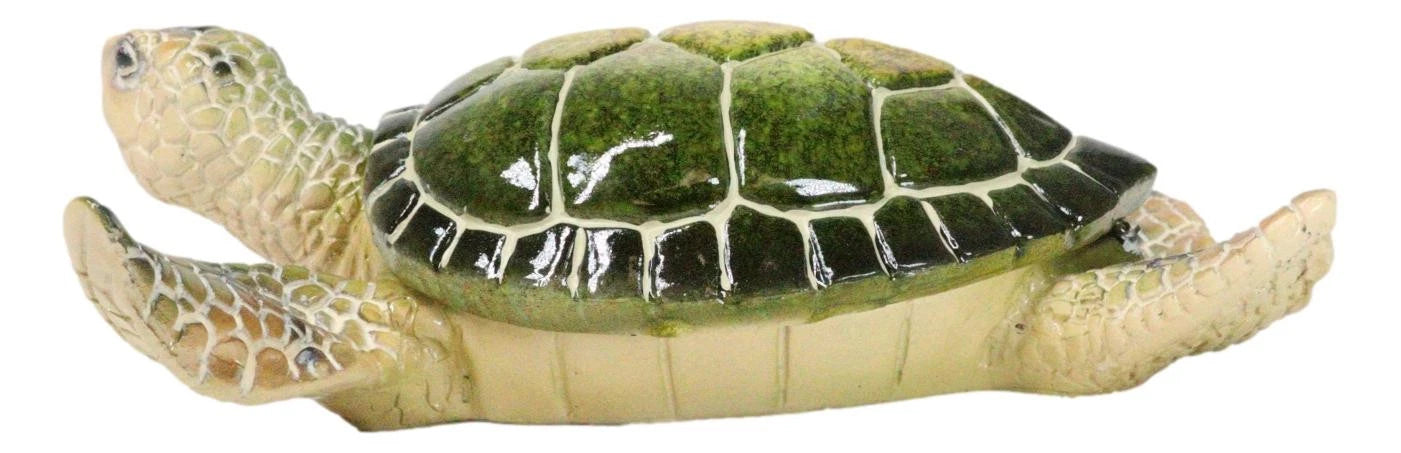 Ocean Marine Green Sea Turtle Decorative Key Stash Decorative Trinket Box-10