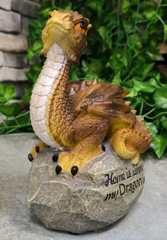 'Home is Where My Dragon is' Baby Dragon on Rock Resin Figurine 7.5" H-9