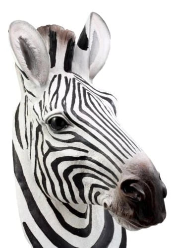 Madagascar Large Zebra Head Wall Decor Plaque 16"Tall Taxidermy Decor Sculpture-8