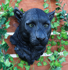 Large Black Panther Head Wall Decor Plaque 16"Tall Jaguar Wall Bust Plaque-7