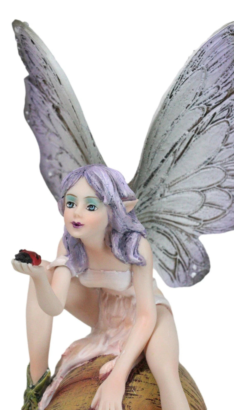 Fantasy Purple Elf Pixie Fairy Ladybug Sitting On Giant Snail Mollusk Figurine-9