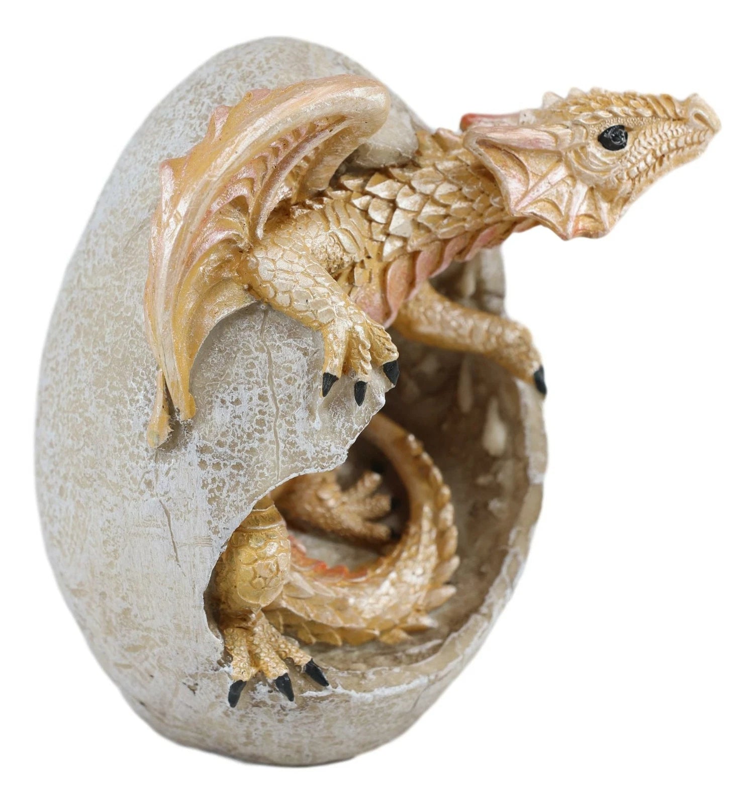 Figura de cría de dragón Raeon Sunlight saliendo de la cáscara del huevo, 12,7 cm de alto-8